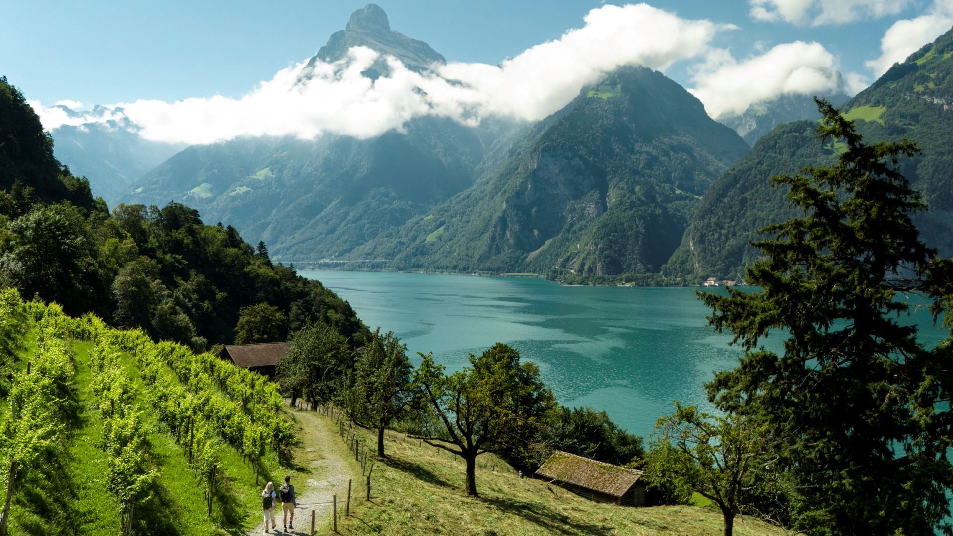 Couple sur le court sentier de randonnée menant à la Tellsplatte près de Sisikon.
